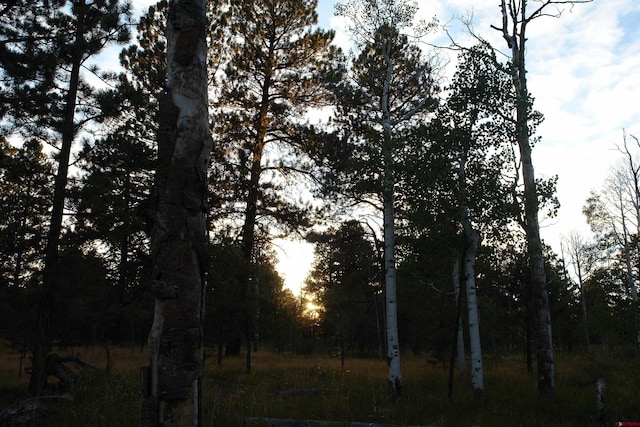 80 W Piney Woods Way, Placerville, CO 81430