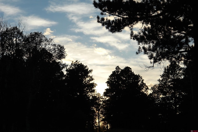 80 W Piney Woods Way, Placerville, CO 81430