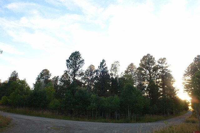 80 W Piney Woods Way, Placerville, CO 81430