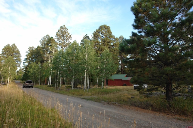 80 W Piney Woods Way, Placerville, CO 81430