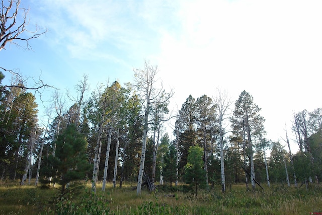 80 W Piney Woods Way, Placerville, CO 81430