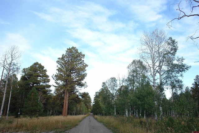 80 W Piney Woods Way, Placerville, CO 81430