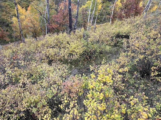 Listing photo 3 for TBD Aspen Dr, Ridgway CO 81432