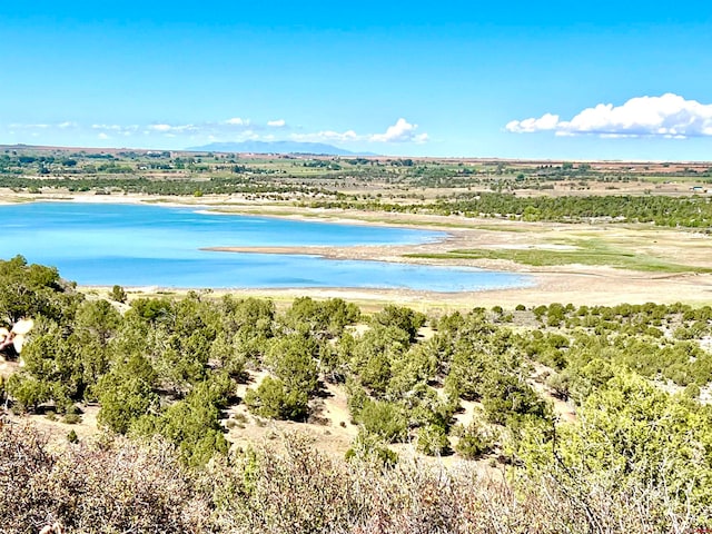 TBD Road V.4, Dolores CO, 81323 land for sale