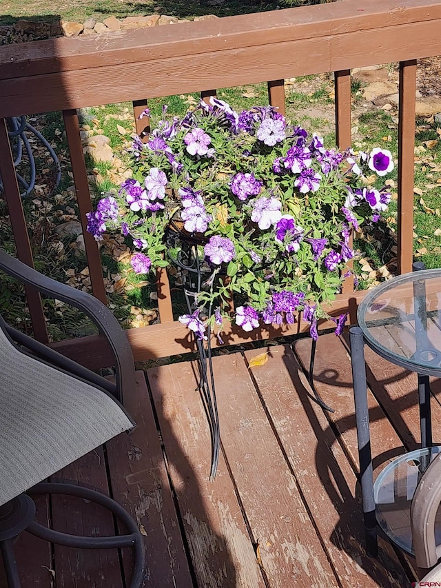 145 Lassen Dr, Pagosa Springs, CO 81147 - view of details