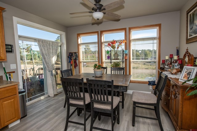 145 Lassen Dr, Pagosa Springs, CO 81147 - dining space with ceiling fan and hardwood / wood-style floors
