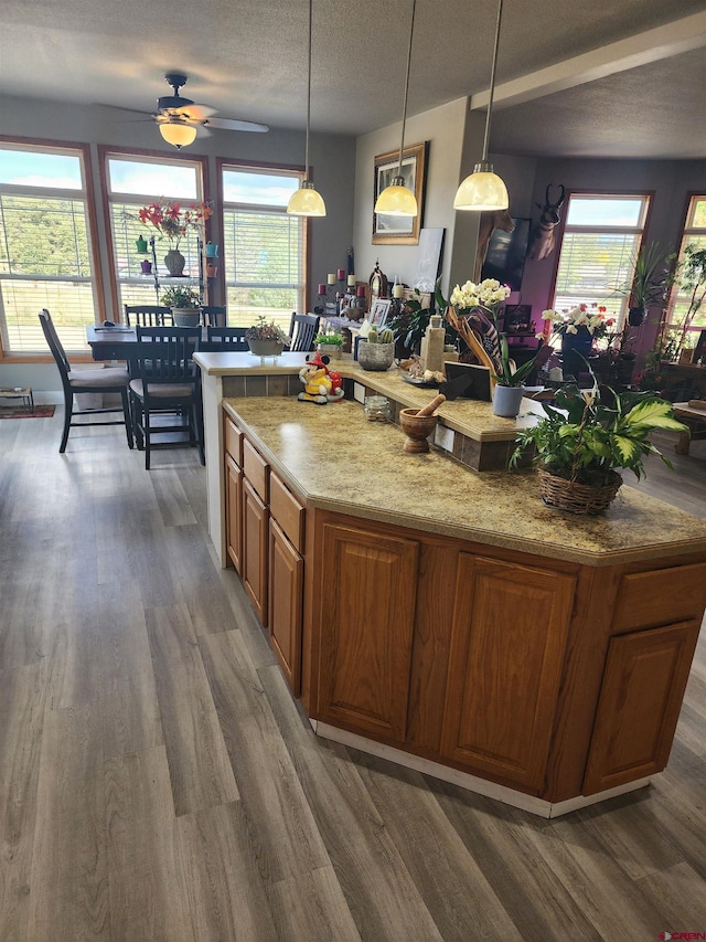 145 Lassen Dr, Pagosa Springs, CO 81147 - kitchen with hanging light fixtures, plenty of natural light, and dark hardwood / wood-style flooring