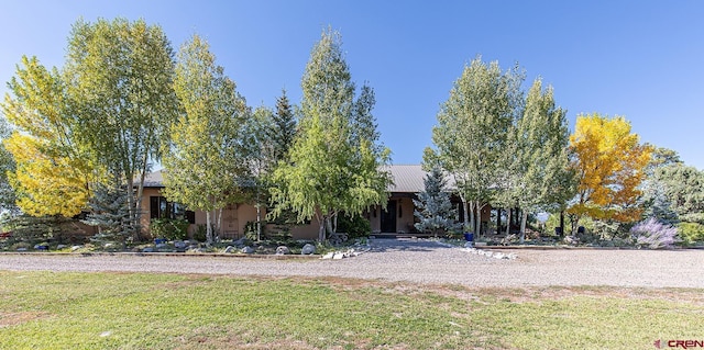 view of property hidden behind natural elements featuring a front lawn