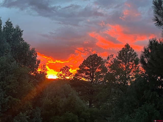 view of nature at dusk