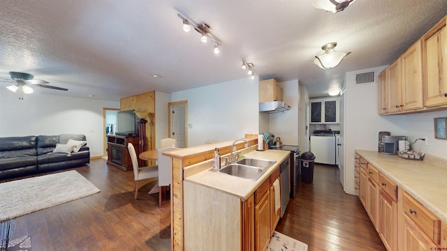 kitchen with sink, a textured ceiling, washer / dryer, light brown cabinetry, and dark hardwood / wood-style flooring