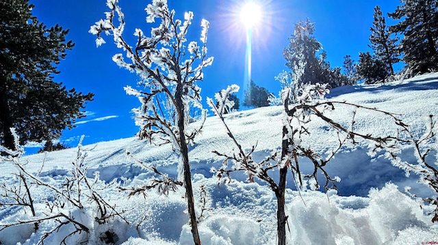 view of mountain feature