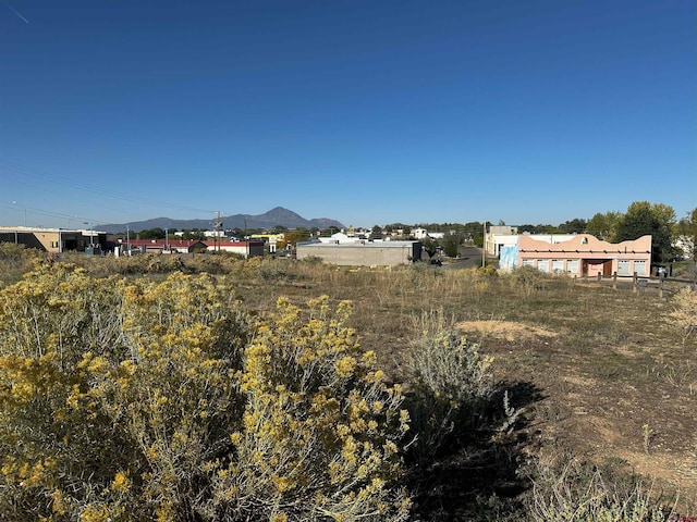 Listing photo 3 for LOT19-20TBD N Sligo St, Cortez CO 81321