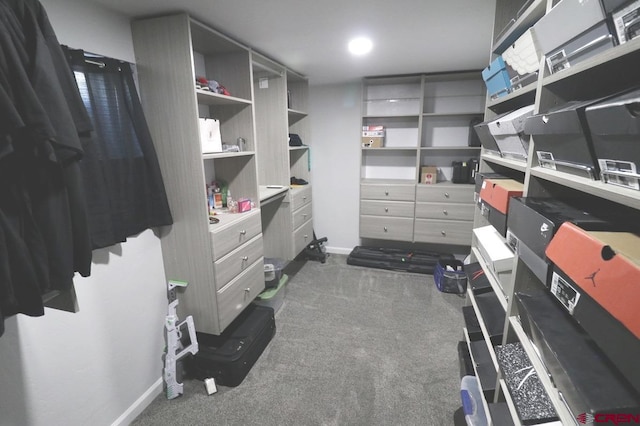 spacious closet featuring dark colored carpet