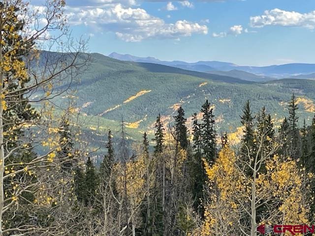 159 Lime Bluff Dr, Pitkin CO, 81241 land for sale