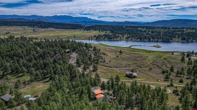 birds eye view of property featuring a water and mountain view