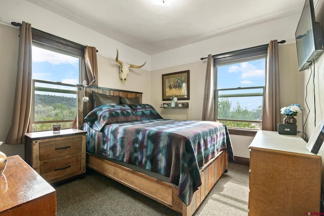 carpeted bedroom with multiple windows