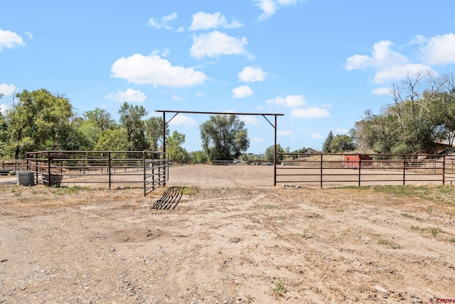 view of yard featuring a rural view