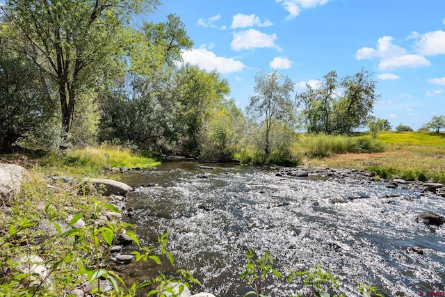 view of nature