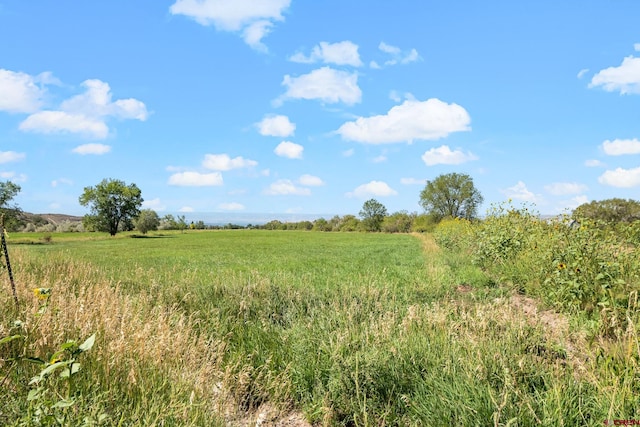 view of nature with a rural view