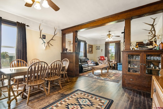 dining room featuring crown molding, ceiling fan, and dark wood-type flooring