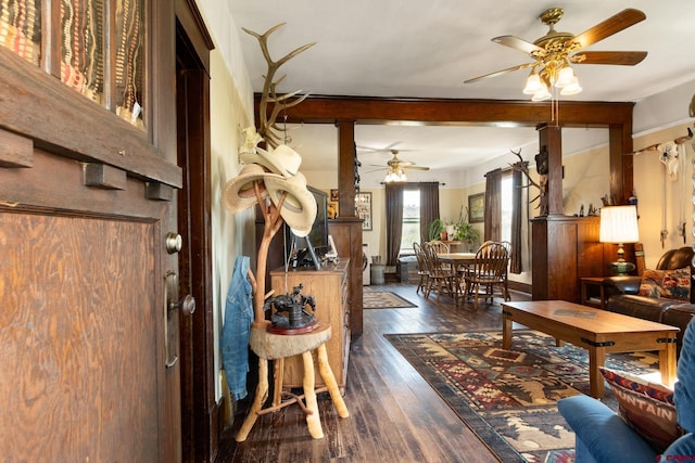 interior space with ceiling fan and dark hardwood / wood-style flooring