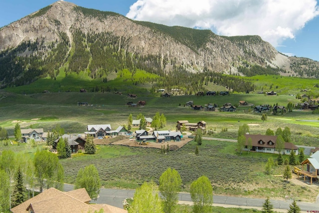 Listing photo 3 for 168 Silver Sage Dr, Crested Butte CO 81224