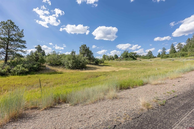 367 Casey Ct, Pagosa Springs CO, 81147 land for sale