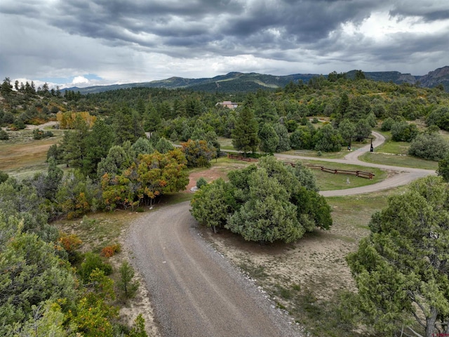 aerial view with a mountain view