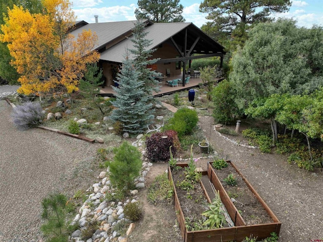 view of yard with a patio area