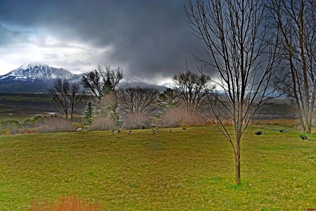 view of yard featuring a mountain view and a rural view