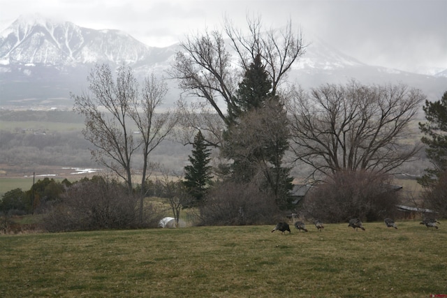 view of yard featuring a rural view and a mountain view