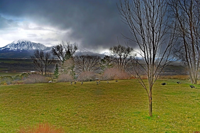 view of yard featuring a mountain view and a rural view