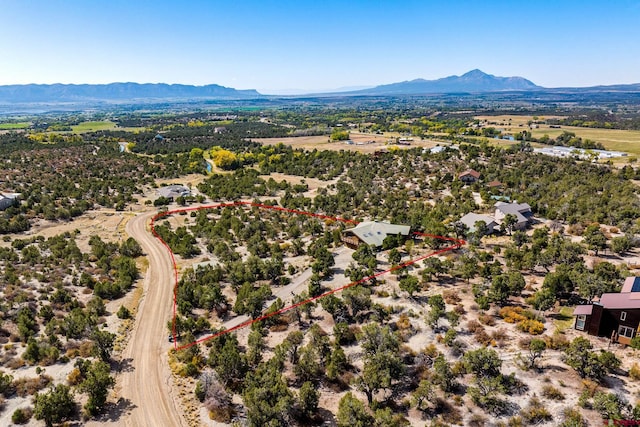 birds eye view of property featuring a mountain view