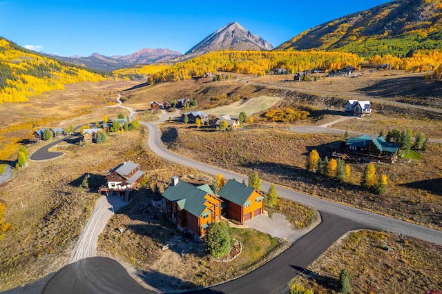 drone / aerial view featuring a mountain view