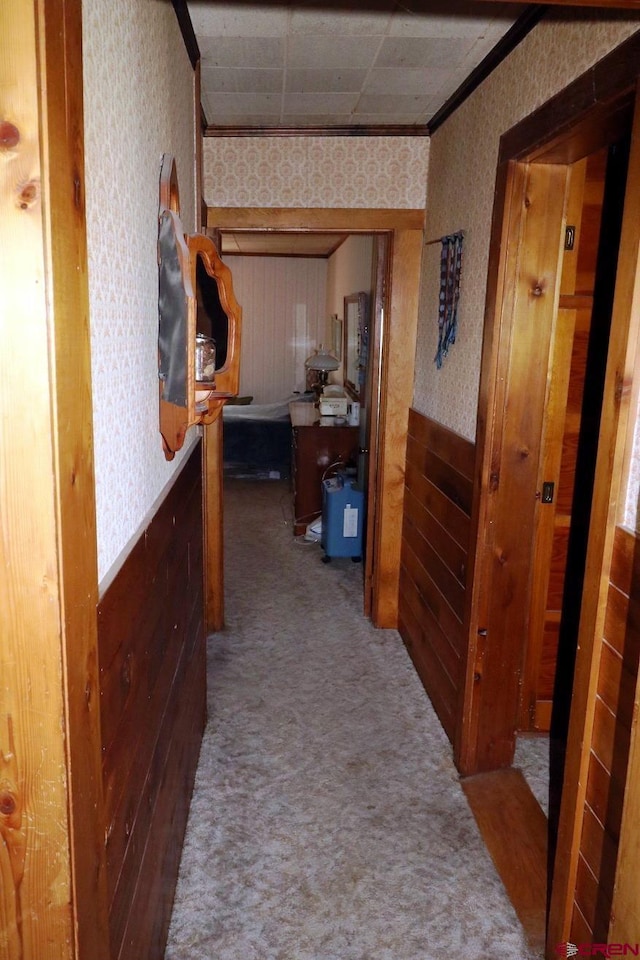 hall with carpet floors, crown molding, and wood walls