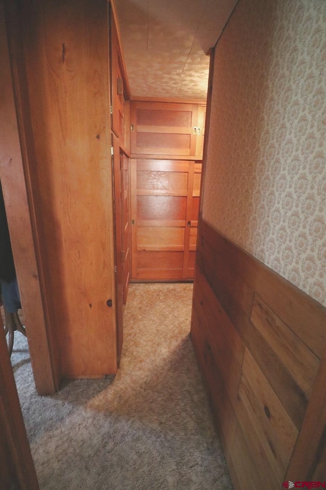 hall featuring light colored carpet and wood walls