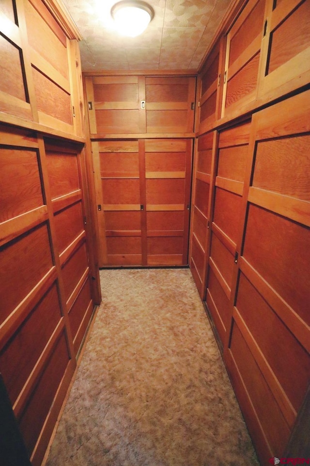 spacious closet with light carpet