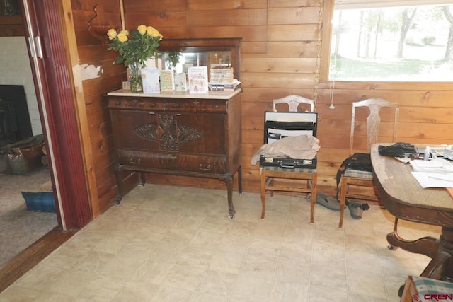 living area with wooden walls