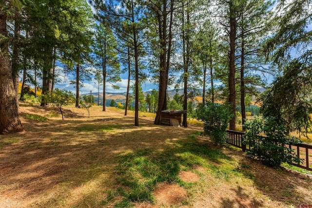 view of yard featuring a mountain view