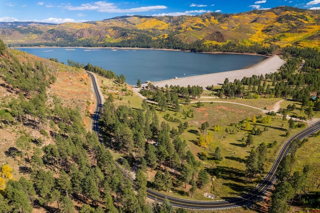 bird's eye view featuring a water and mountain view