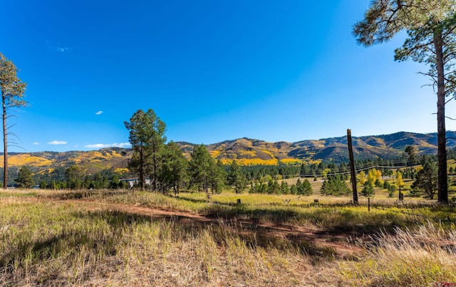 mountain view with a rural view