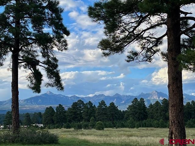 Listing photo 2 for 75 Vista, San Juan, Pagosa Springs CO 81147