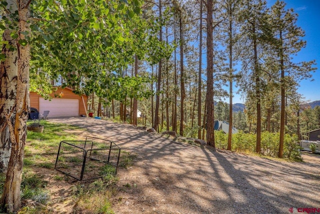 view of yard with a mountain view, an outdoor structure, and a garage