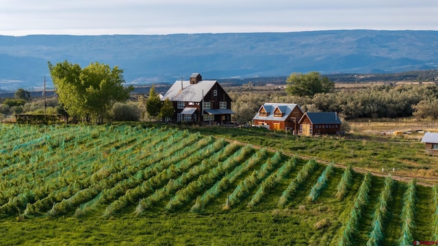 bird's eye view with a mountain view and a rural view