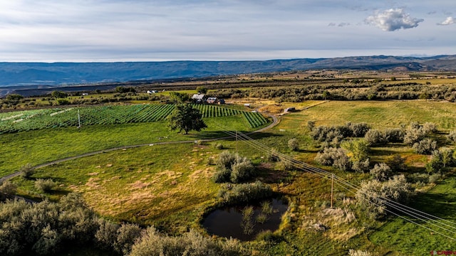 bird's eye view with a mountain view and a rural view