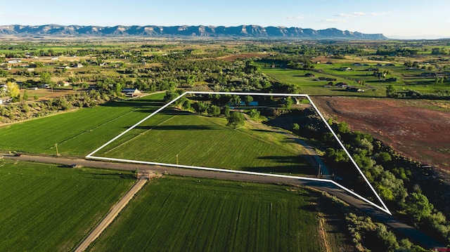 aerial view with a mountain view and a rural view