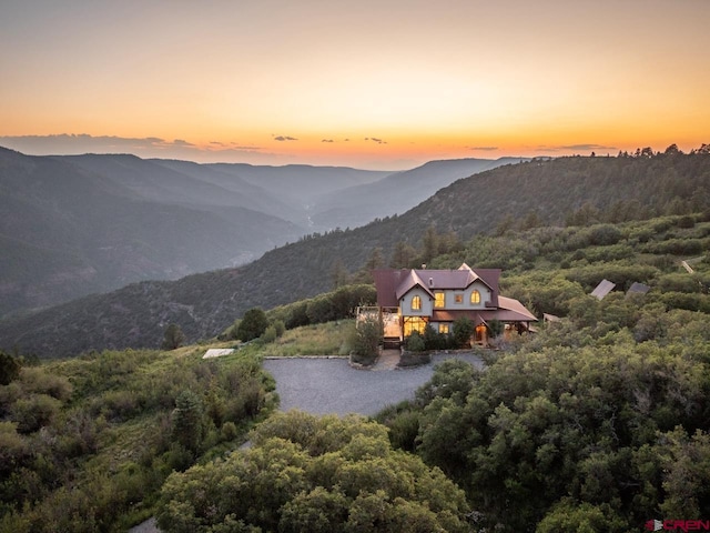 462 Dragon Lode Dr, Placerville, CO 81430 - mountain view
