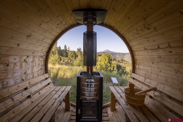 view of sauna / steam room featuring wooden walls and wooden ceiling