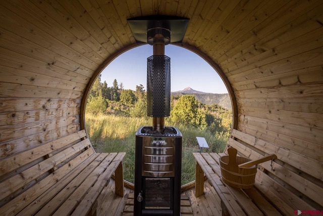 462 Dragon Lode Dr, Placerville, CO 81430 - relaxing sauna with wood walls and wooden ceiling