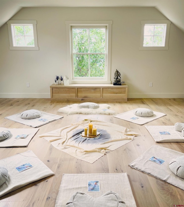 bonus room with vaulted ceiling, a wealth of natural light, and hardwood / wood-style floors